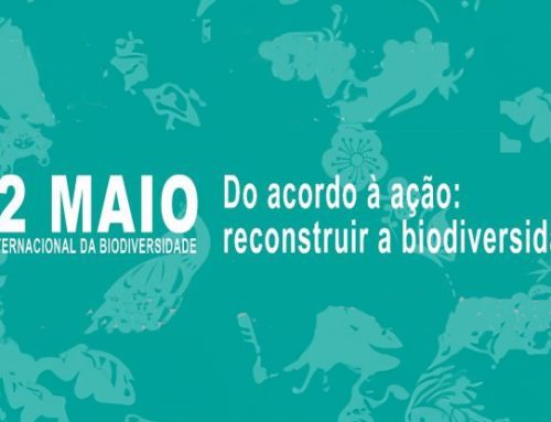 Dia Internacional da Biodiversidade