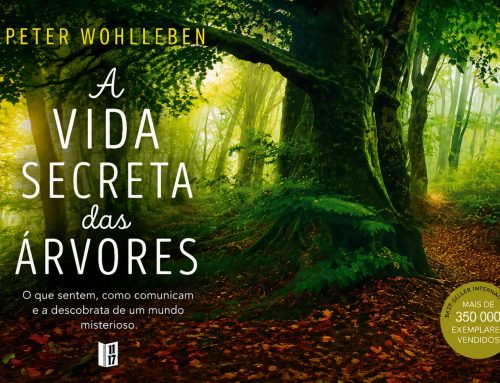 Sugestão de Leitura